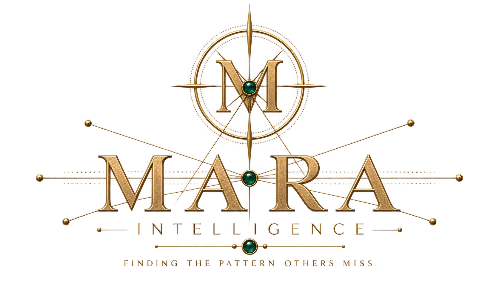 Mara Intelligence
